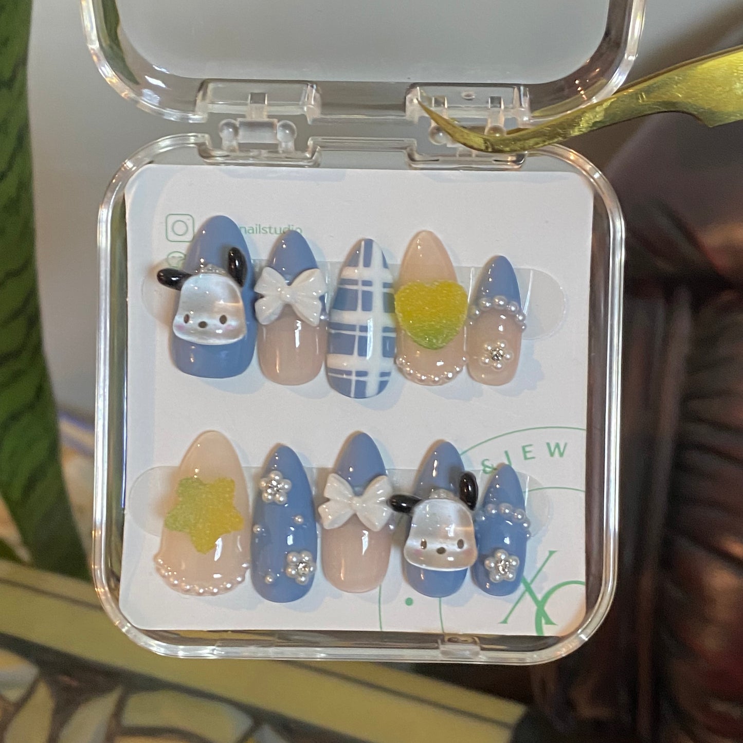 Pochacco